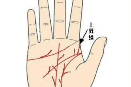 手相揭秘：揭秘你的运势，掌握财富大门