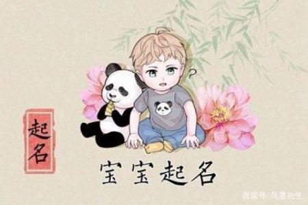 维字辈起名攻略：让名字更有文化底蕴