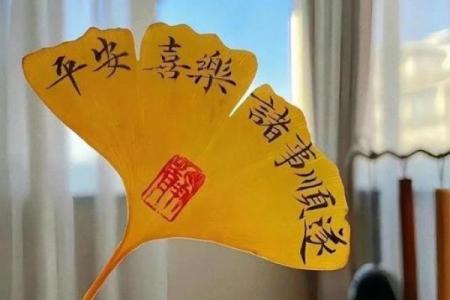 沙中土：揭秘命运深处的神秘力量