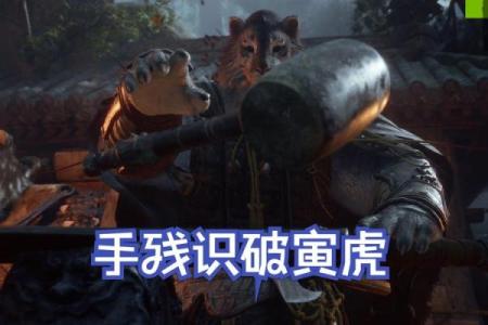 揭秘：木虎命背后的神奇力量
