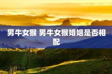 属牛配猪，缘分深浅如何？