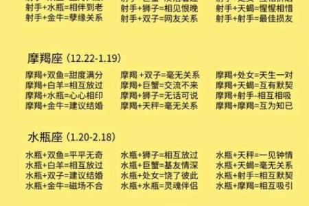星座配对大揭秘：最高契合度排行榜