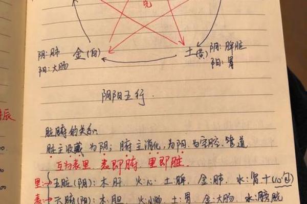 天干地支阴阳解读：古老智慧的现代应用