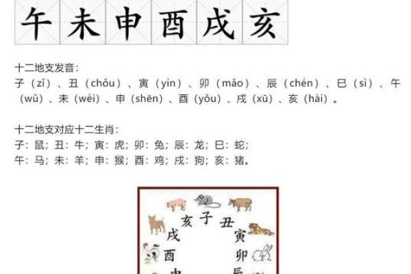 天干地支阴阳解读：古老智慧的现代应用