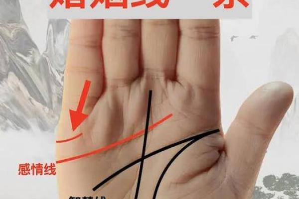 韩国明星手相揭秘：命运线、爱情线，谁将走向人生巅峰？