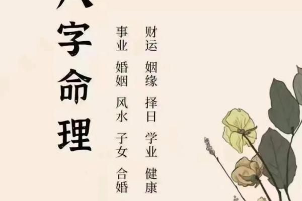 轻松免费算八字，掌握你的人生走向