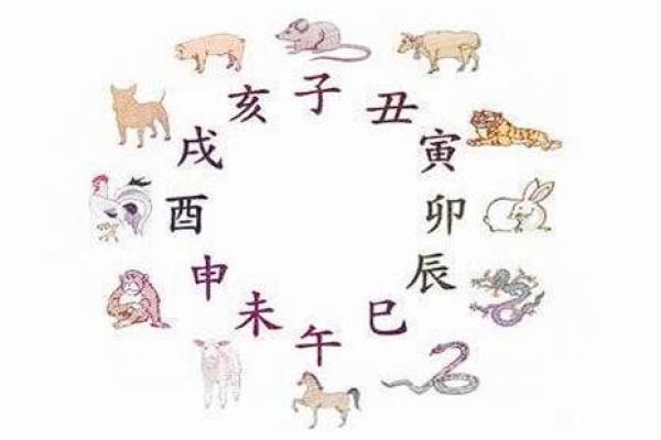 想知道未来走向？八字解读为你指明方向