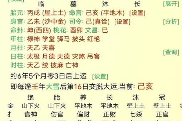 八字命理学：如何通过八字找到事业与财富的方向