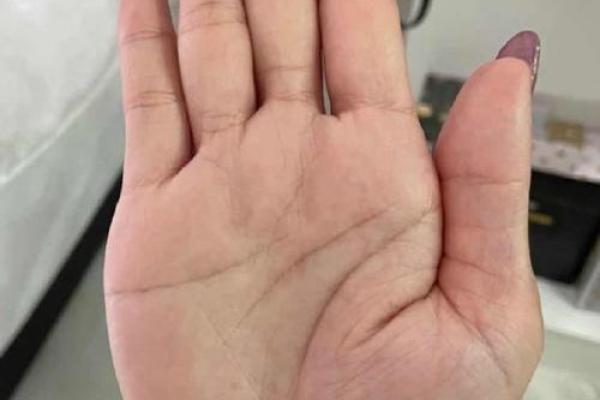 手相揭秘：掌中乾坤，事业成败尽在此中