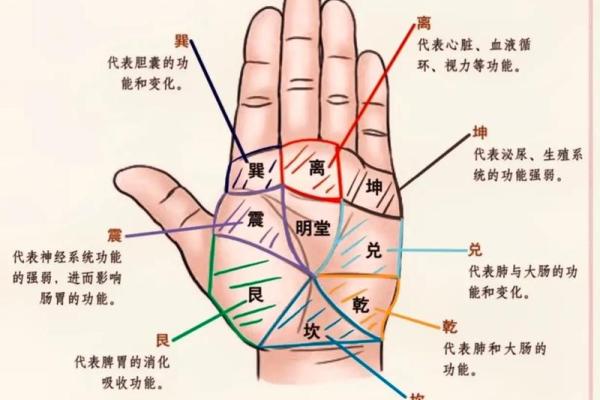 手相揭秘：掌中乾坤，事业成败尽在此中