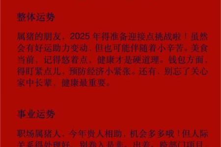 龙腾虎跃，财运亨通的秘密指南