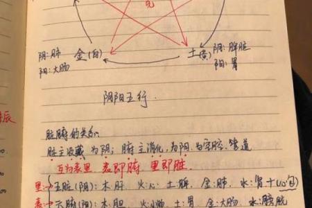 天干地支阴阳解读：古老智慧的现代应用