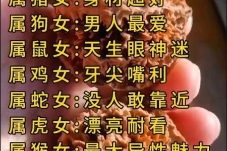 生肖之谜：女肖揭秘生肖背后的秘密
