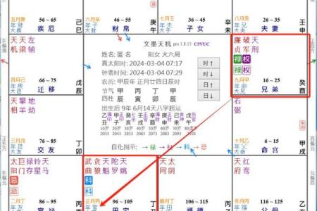 在线紫薇流年星盘排盘：精准分析未来一年的命运走势