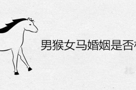 90马遇92猴，天生一对？