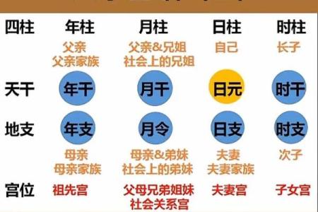 时尚牡丹命理馆揭秘，掌握命理学的智慧