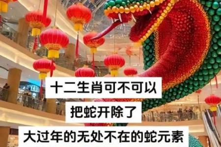 蛇猪组合：揭秘这对生肖的神奇吸引力