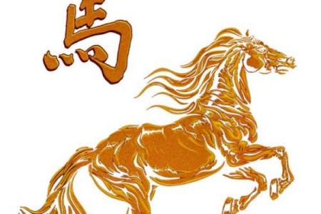 1978年属马：揭秘生肖马的人生运势与财运大揭秘