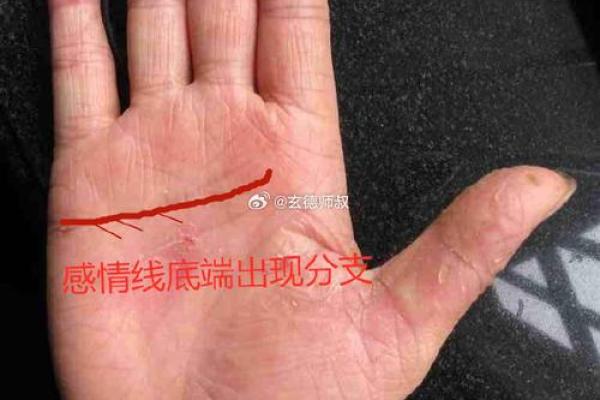 手相感情线神秘分支揭秘：揭秘你的爱情走向