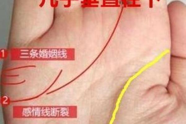 手相感情线神秘分支揭秘：揭秘你的爱情走向