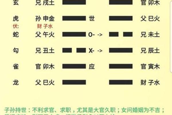 深入解析南方六爻排盘，教你如何精准预测未来运势
