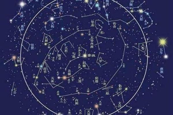 宇宙星座图鉴：揭秘十二星系的神秘魅力
