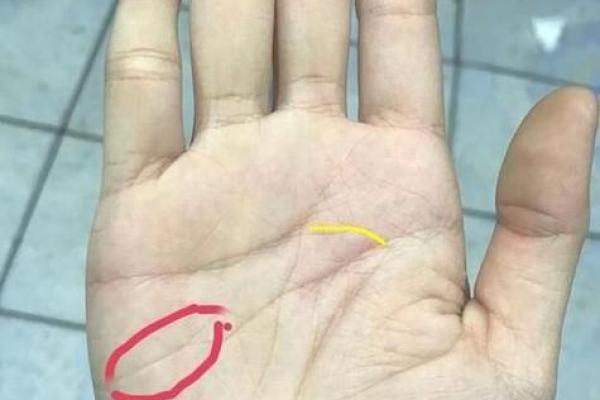 出轨无痕？揭秘老公手相中的不忠信号