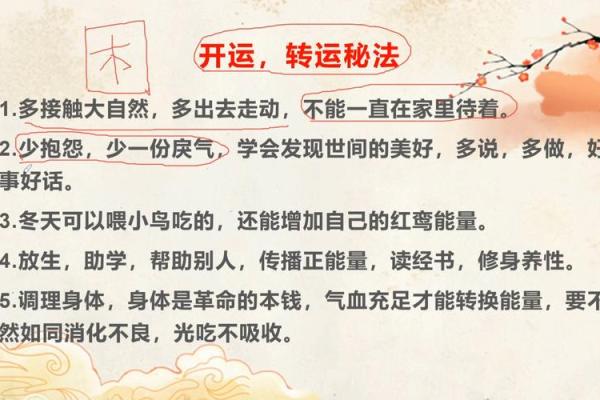 揭秘风水十二杖法：助你布局家居，财运亨通、事业腾飞