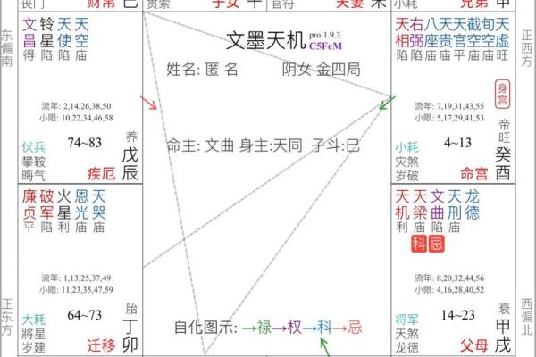 紫薇斗数排盘技巧揭秘：如何精准分析命运走向