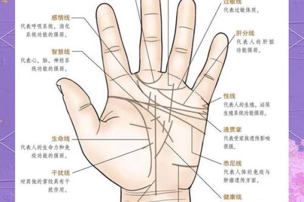 揭秘手相奥秘：小指下方鱼形纹预示着你怎样的命运？