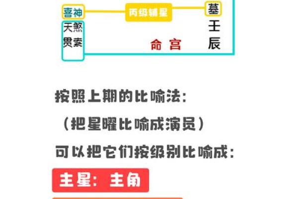 轻松掌握紫微斗数排盘技巧，台湾专属命运解析等你体验