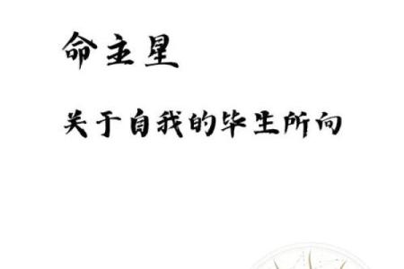 天星排盘揭秘：掌握命运密码，开启人生新篇章