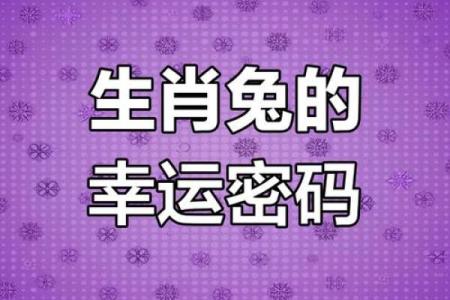 属兔小官的逆袭之路：笑傲职场，事业腾飞