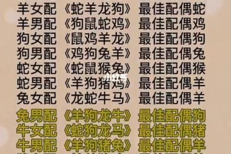 生肖牛羊搭配大揭秘：揭秘最佳伴侣组合