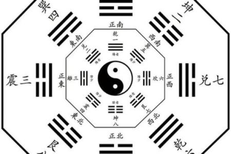 龙隐排盘揭秘：如何通过命理洞察人生未来