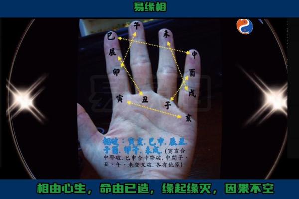 掌中乾坤，揭秘手相中的运势密码