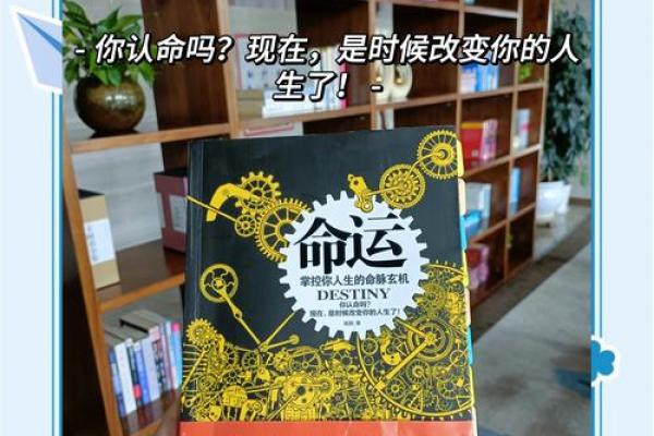 命运的秘密：盲派命理教你如何做功转运