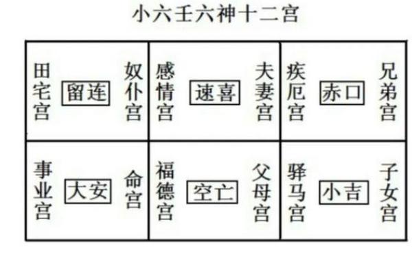 天干地支与掌上的秘密关系揭秘