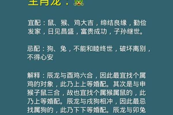 2024生肖婚配秘籍：最适合你的另一半在这里