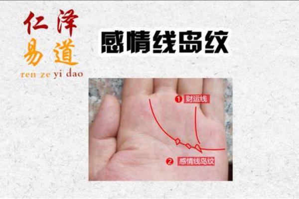 手相岛文揭秘：掌握这五个关键点，让你瞬间成为手相达人