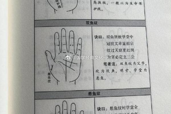 揭秘男性手掌秘密，手相解读教你识人辨才