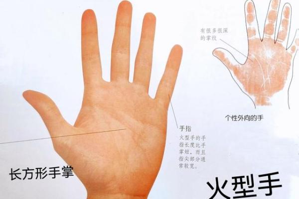 揭秘男性手掌秘密，手相解读教你识人辨才