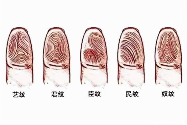 手上是个螺，揭秘你的富贵命运