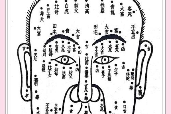 面相揭秘：五官细节揭示你的命运与财运