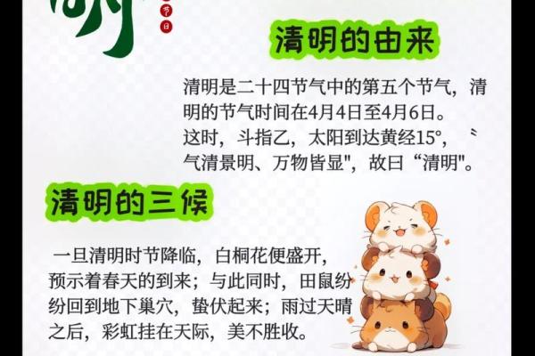 清明习俗大揭秘：探寻千年传承的节日魅力