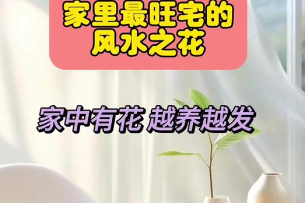 家居风水秘籍：种出好运，养出富贵——家居花卉风水宝典