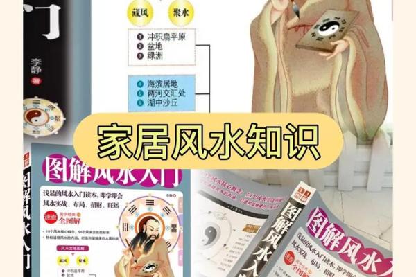 家居风水秘籍：种出好运，养出富贵——家居花卉风水宝典