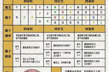 透视天干支时辰，轻松解锁人生密码