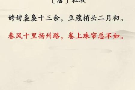春风十里，花朝节里寻花问柳，民俗风情浓似酒