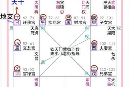 如何精准解读紫薇斗数排盘，揭秘命运的深层含义